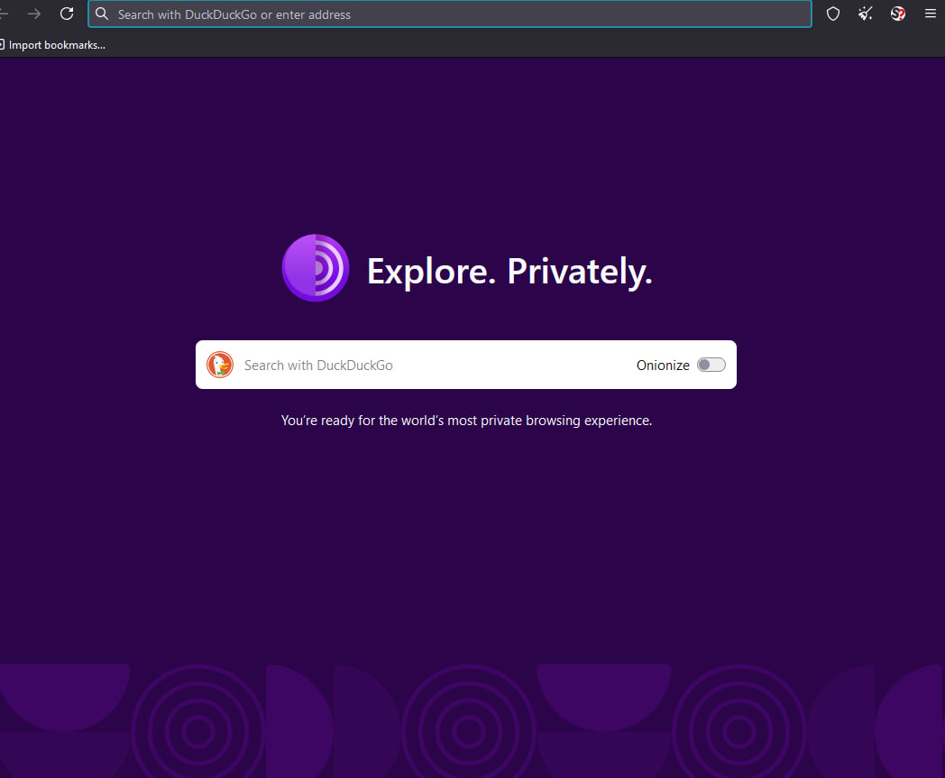 Screenshot of the Tor Browser interface showing the connection setup screen and security settings panel in a retro vaporwave style